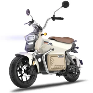 High-Performance E Moped 800W