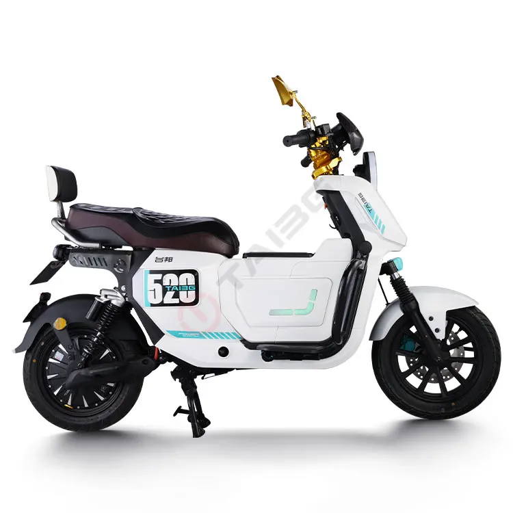 Electric Motorcycle with CBS Disc Brake – Image 3