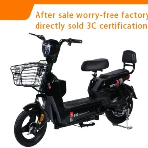 350W moto électrique 48V Ebike pour adultes vélo électrique à grande vitesse avec batterie amovible freins à double disque gamme 80-120KM