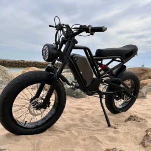SXLL vente en gros 1500W Ebike rapide 20*4 "électrique SUV moto 18ah vélo de route avec 48v technologie électronique intelligente adulte