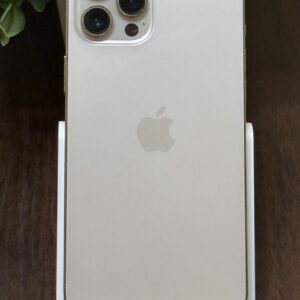 Iphone 12 Promax 256 Go